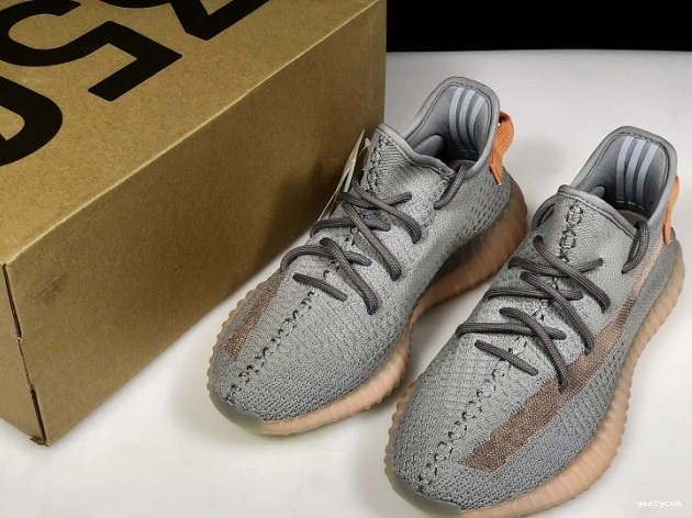 V2 Form Yeezy 350 Boost EG7492 Adidas True 0819